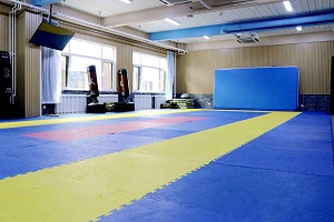 北京新学道临川学校国际部