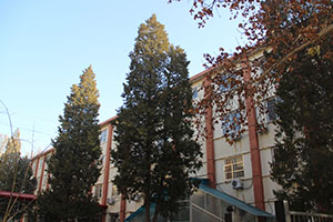 华油荣德小学