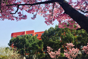 闵行汇点高中
