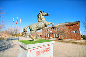 北京青苗国际双语学校怀柔国际部