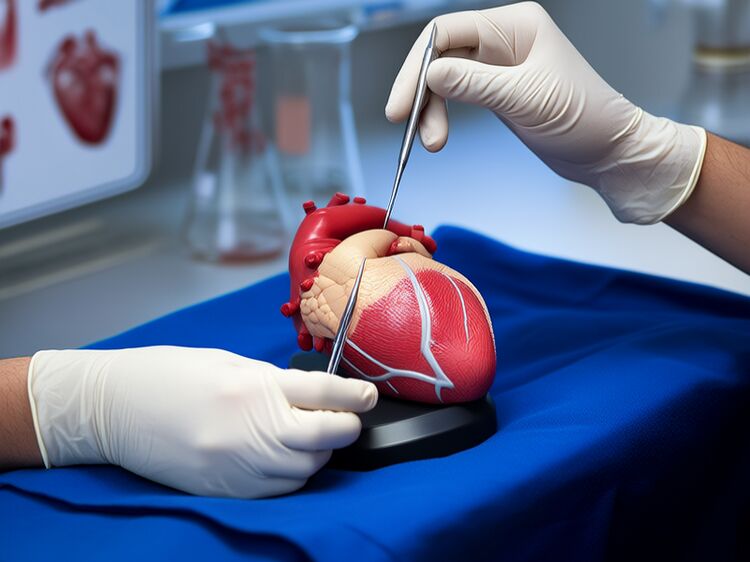 嘉定国际高中有哪些