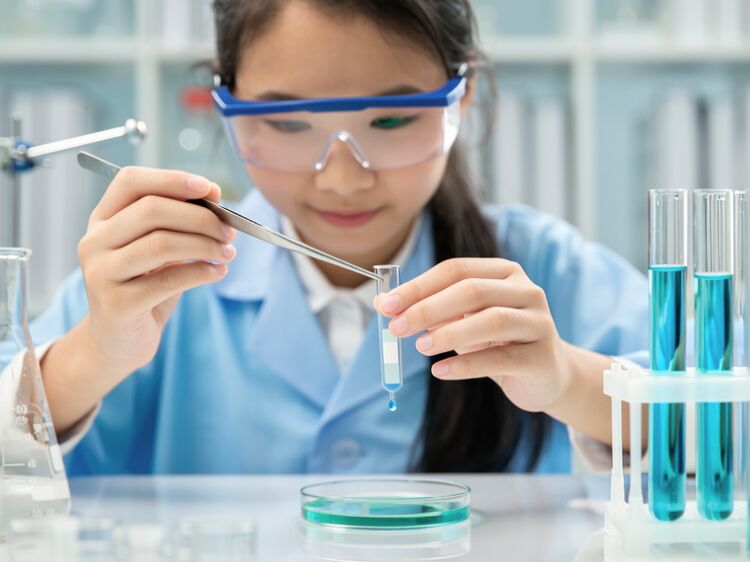 拔萃双语学校国际部