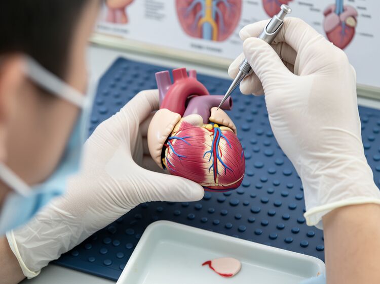 昆明国际高中哪个好点