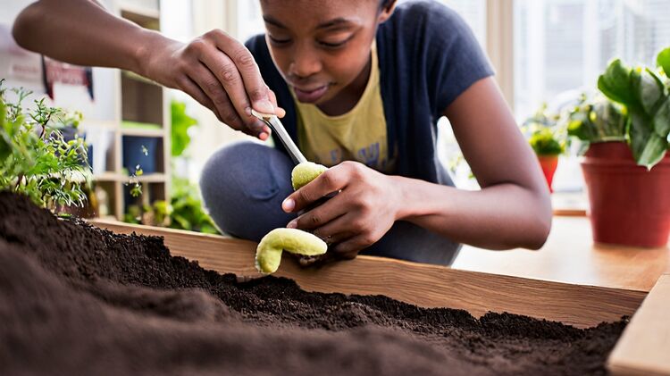 昆明有没有国际学校