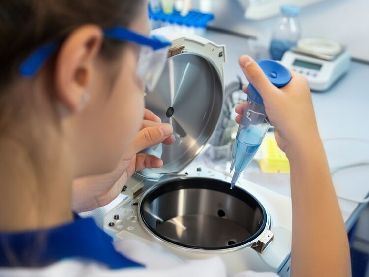 北京附近国际学校