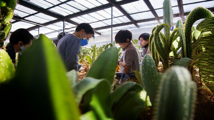 南京国际班学校