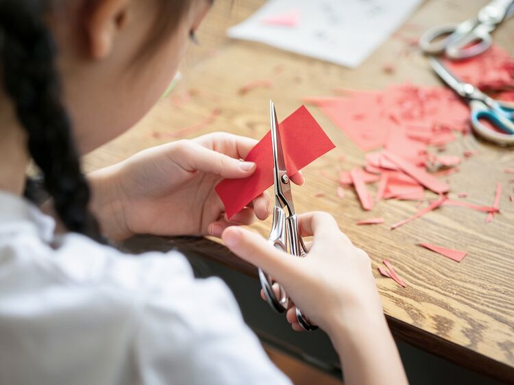 国际双语小学 学校