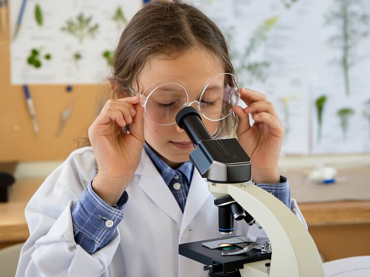 北京市国际学校鼎石