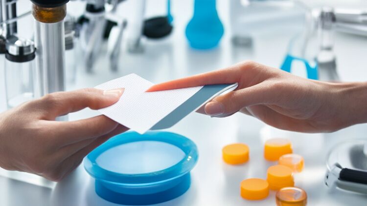 武汉私立初中排名