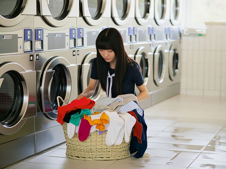 湛江私立学校哪个好