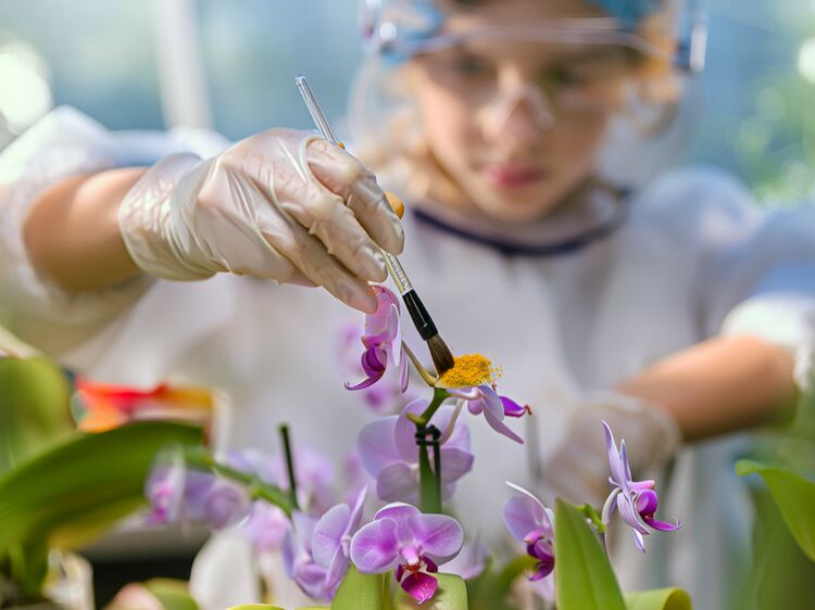 江西力迈国际学校