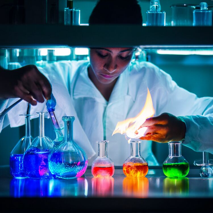 碧桂园双语国际学校