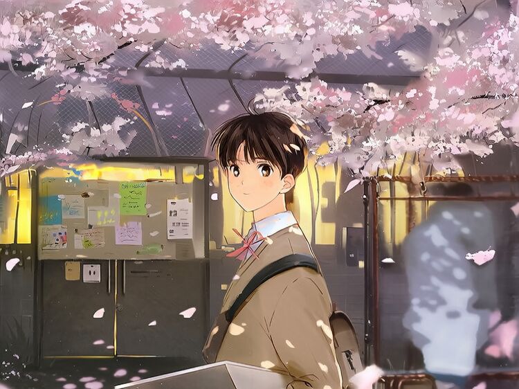 北京国际学校的学生