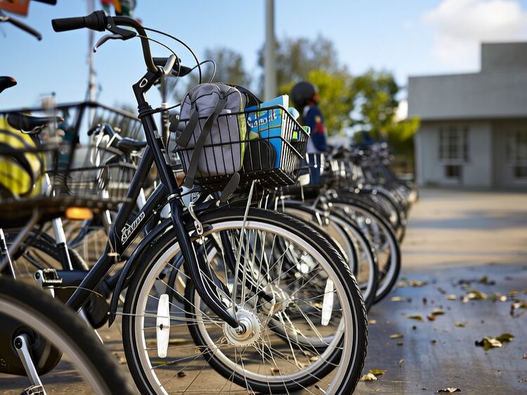 常青藤国际中学